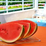 Aleja Apartmán Zadar