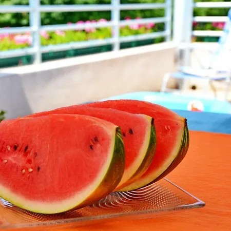 Aleja Appartement Zadar