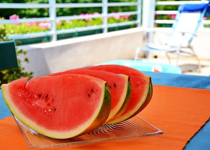 Aleja 公寓 扎达尔